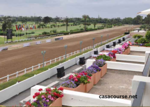 Casa Course Rapport Quinté France Maroc