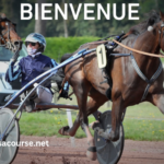France Cheval Turf