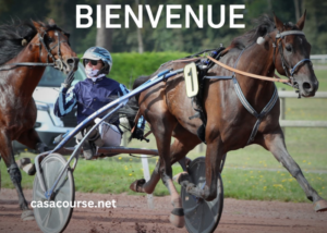 France Cheval Turf