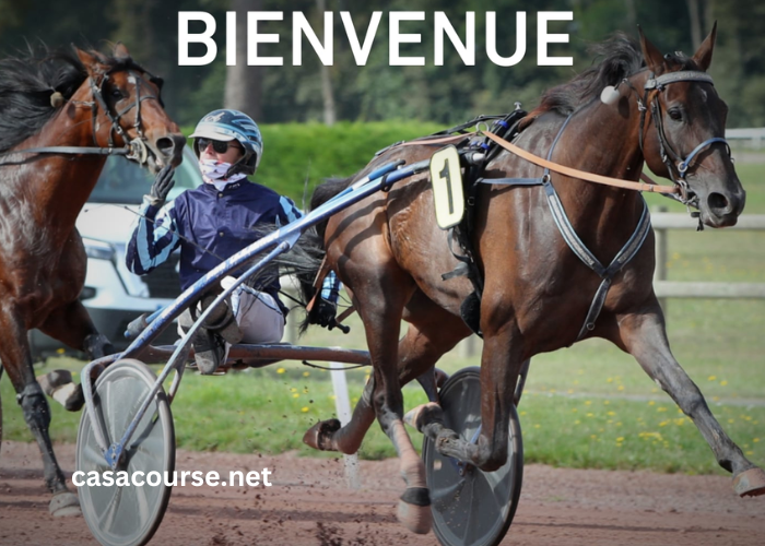 France Cheval Turf