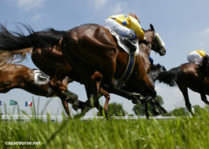 Liste Type Turf 8 Chevaux