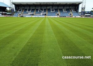 Dens Turf