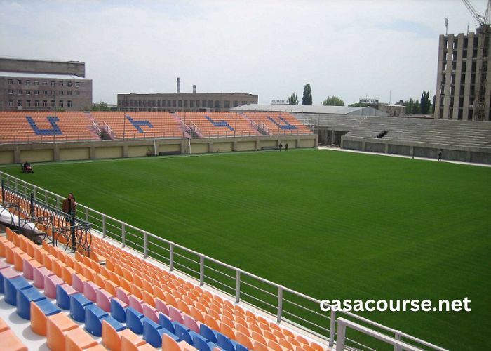 Mika Turf