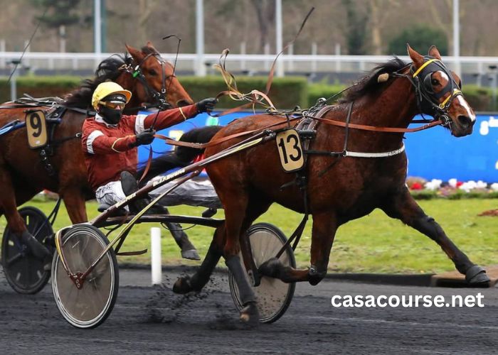 Paris Turf Actualites