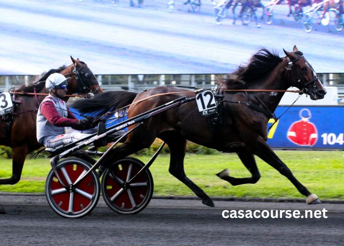 Paris Turf Demain Presse