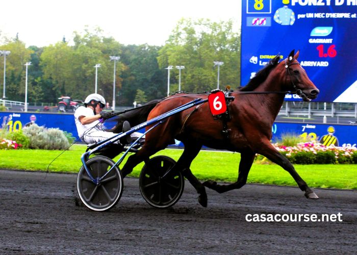 Pmu Turf Pronostics Gratuit Presse