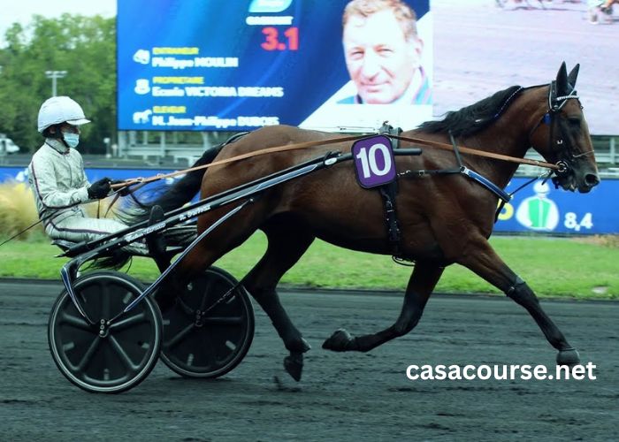 Pronostic Gratuit Turfs