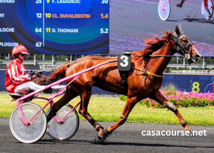 Société Turf Trio