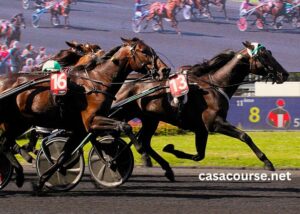 Super Gagnant Turf (1)
