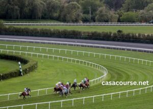 Turf Course