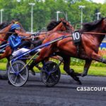 Turf Gratuit