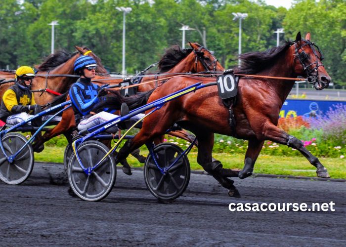 Turf Gratuit