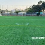 United Turf