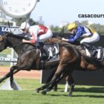 Voyeuse Turf
